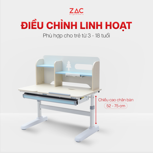 Bàn ghế của ZAC Ergonomic