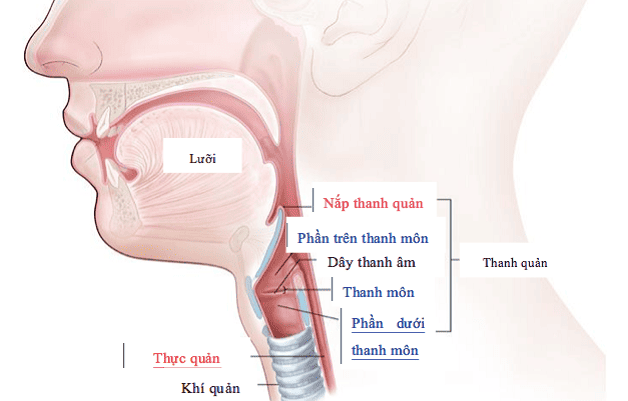 Tác dụng phụ của xạ trị